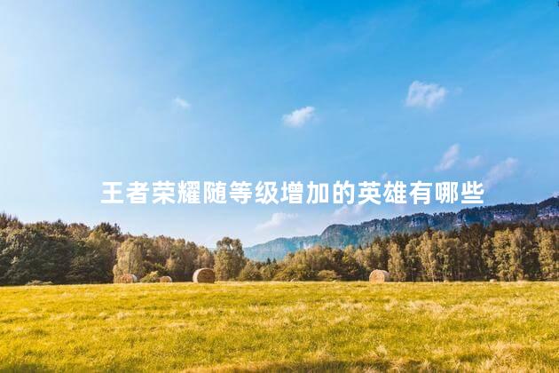 王者荣耀随等级增加的英雄有哪些