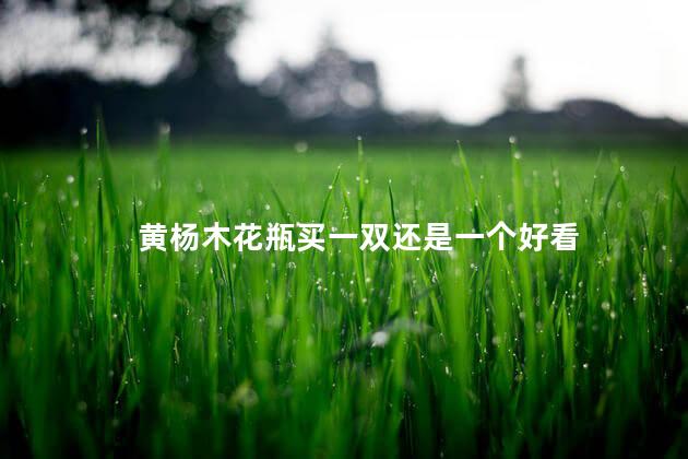 黄杨木花瓶买一双还是一个好看 黄杨木花瓶买一双还是一个好看