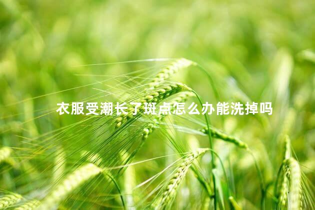 衣服受潮长了斑点怎么办能洗掉吗