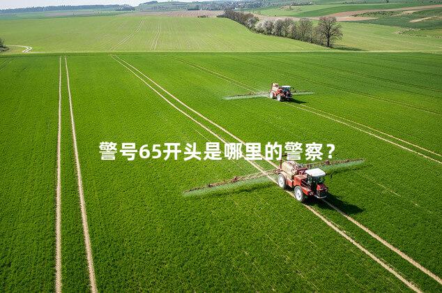 警号65开头是哪里的警察? 警号65开头是哪里的警察?