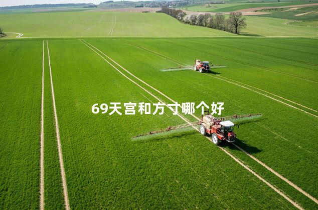 69天宫和方寸哪个好