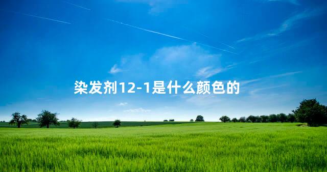 染发剂12-1是什么颜色的