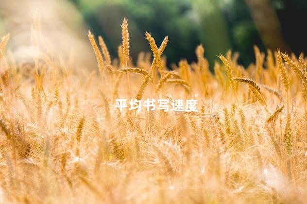 平均书写速度 平均书写速度