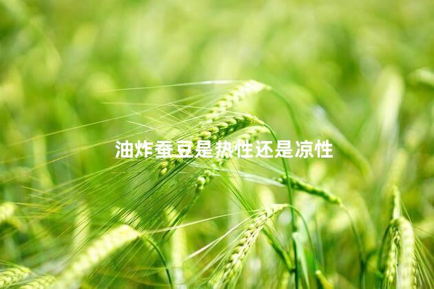油炸蚕豆是热性还是凉性