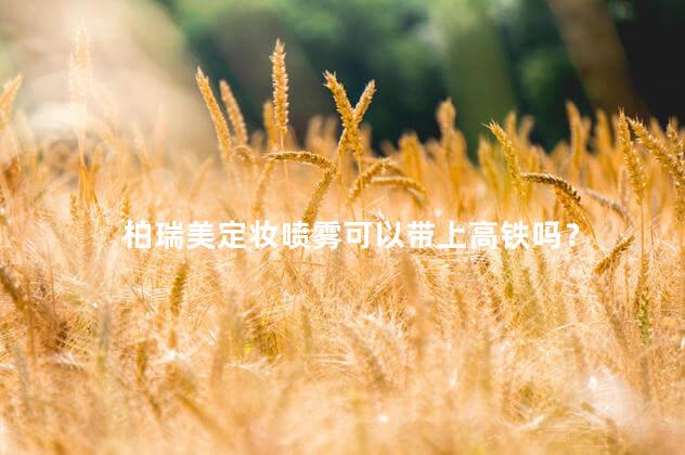 柏瑞美定妆喷雾可以带上高铁吗？