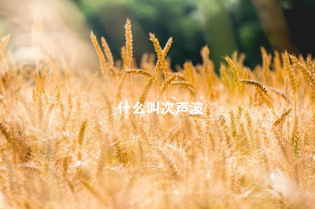 什么叫次声波