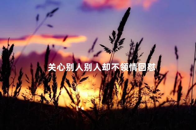 关心别人别人却不领情回怼