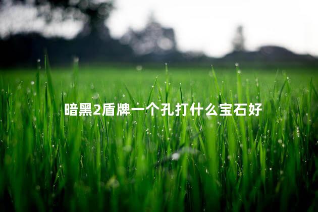 暗黑2盾牌一个孔打什么宝石好 暗黑2盾牌一个孔打什么宝石好