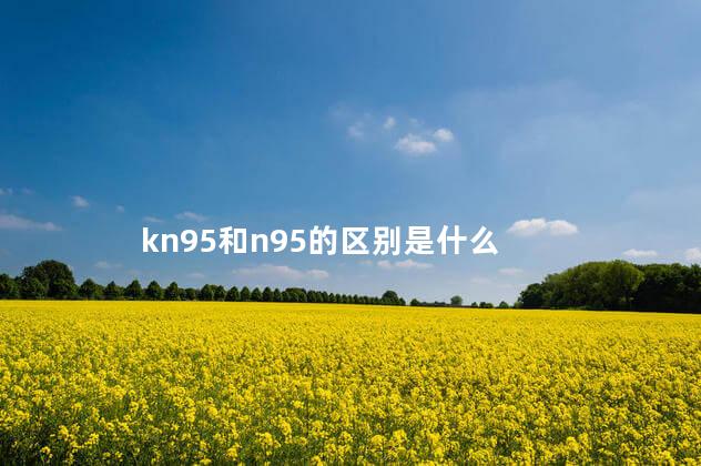 kn95和n95的区别是什么