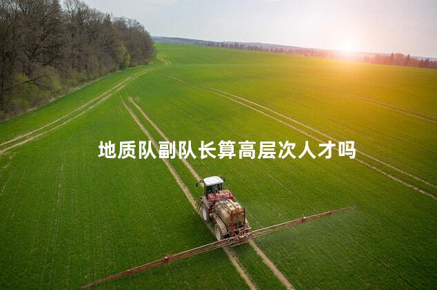 地质队副队长算高层次人才吗 地质队副队长算高层次人才吗