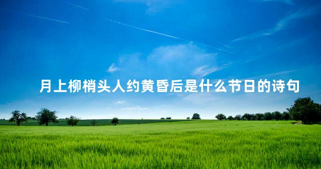 月上柳梢头人约黄昏后是什么节日的诗句 月上柳梢头人约黄昏后是什么节日的诗句