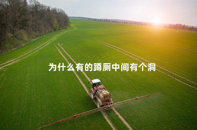 为什么有的蹲厕中间有个洞