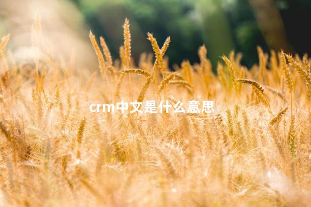 crm中文是什么意思 crm中文是什么意思