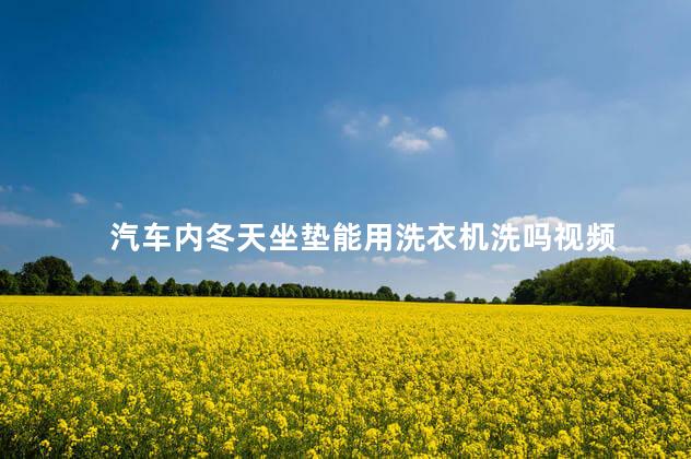 汽车内冬天坐垫能用洗衣机洗吗视频 汽车内冬天坐垫能用洗衣机洗吗视频