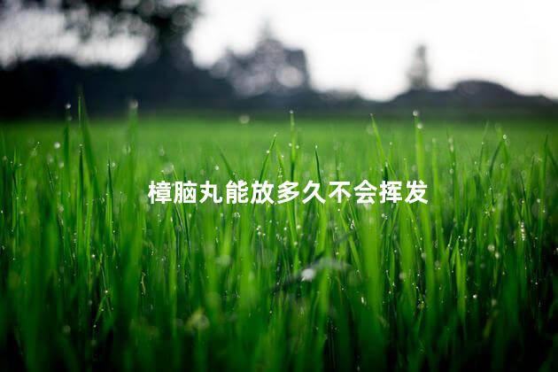 樟脑丸能放多久不会挥发
