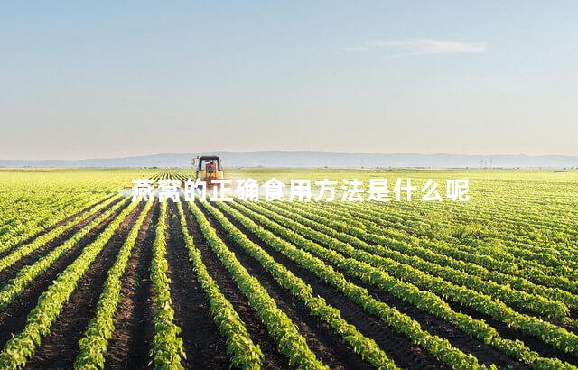 燕窝的正确食用方法是什么呢