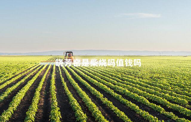 晓芳窑是柴烧吗值钱吗