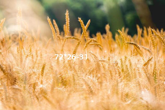 72*26-31 72*26-31