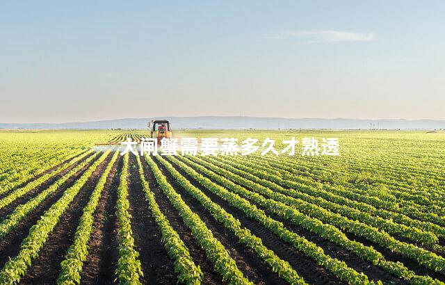 大闸蟹需要蒸多久才熟透