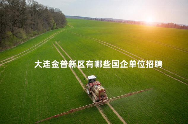 大连金普新区有哪些国企单位招聘 大连金普新区有哪些国企单位招聘