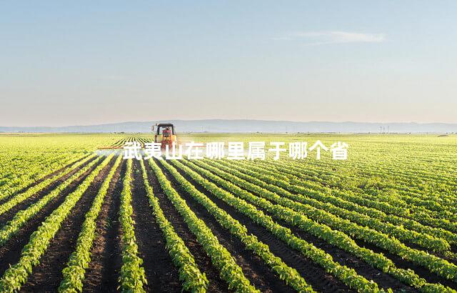 武夷山在哪里属于哪个省