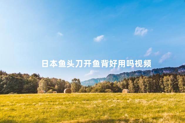 日本鱼头刀开鱼背好用吗视频 日本鱼头刀开鱼背好用吗视频