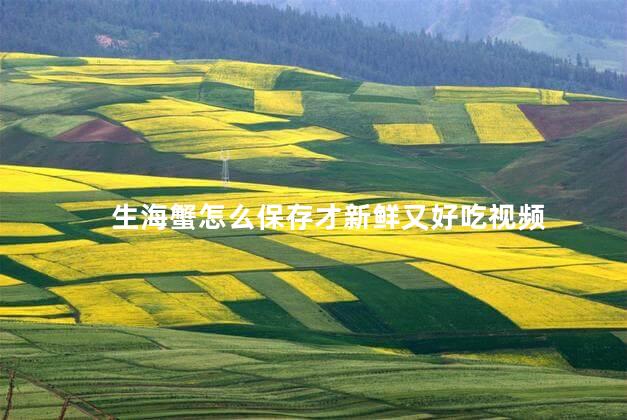 生海蟹怎么保存才新鲜又好吃视频 生海蟹怎么保存才新鲜又好吃视频
