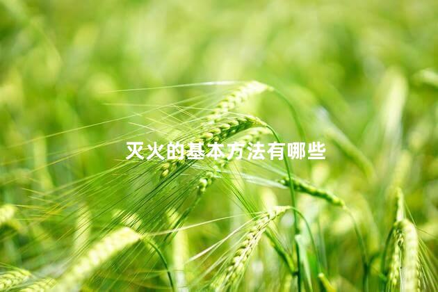 灭火的基本方法有哪些 灭火的基本方法有哪些
