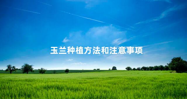 玉兰种植方法和注意事项