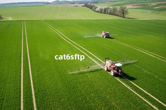 cat6sftp cat6sftp