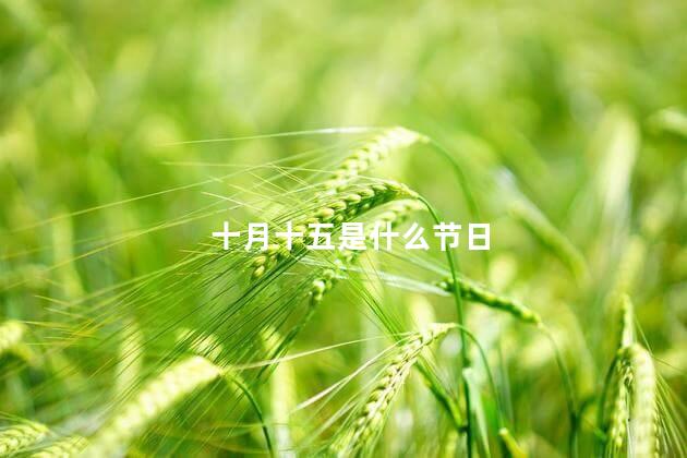 十月十五是什么节日 十月十五是什么节日
