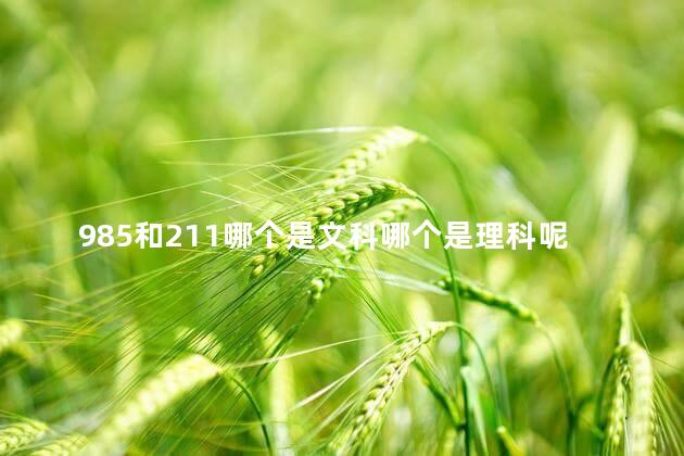 985和211哪个是文科哪个是理科呢 985和211哪个是文科哪个是理科呢