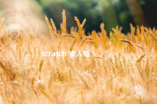 scratch 输入框 scratch 输入框