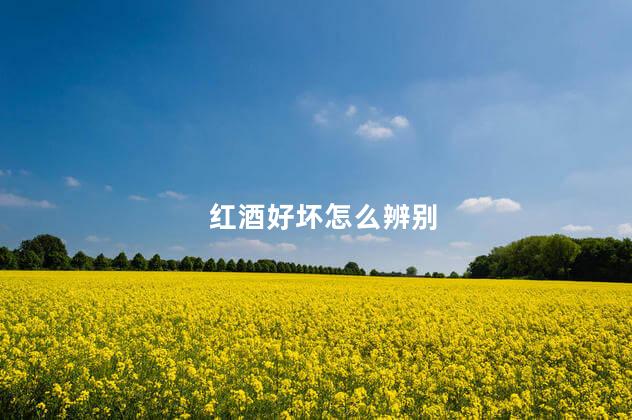 红酒好坏怎么辨别 红酒好坏怎么辨别