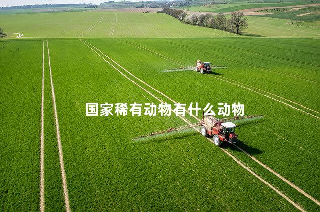 国家稀有动物有什么动物