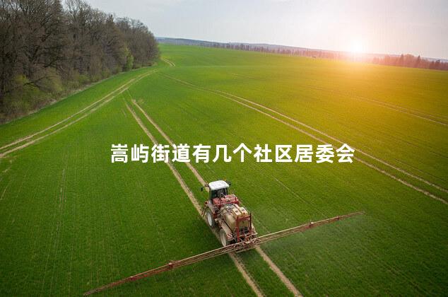 嵩屿街道有几个社区居委会 嵩屿街道有几个社区居委会