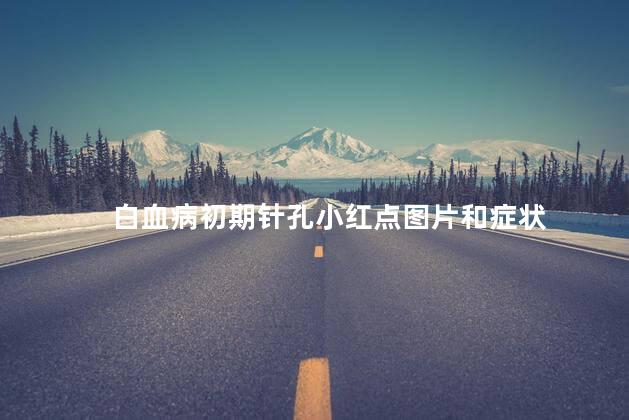 白血病初期针孔小红点图片和症状