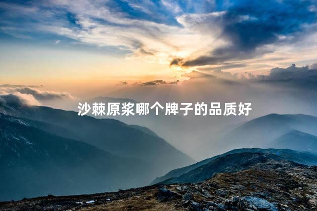 沙棘原浆哪个牌子的品质好