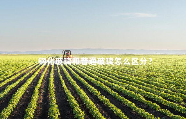 钢化玻璃和普通玻璃怎么区分？