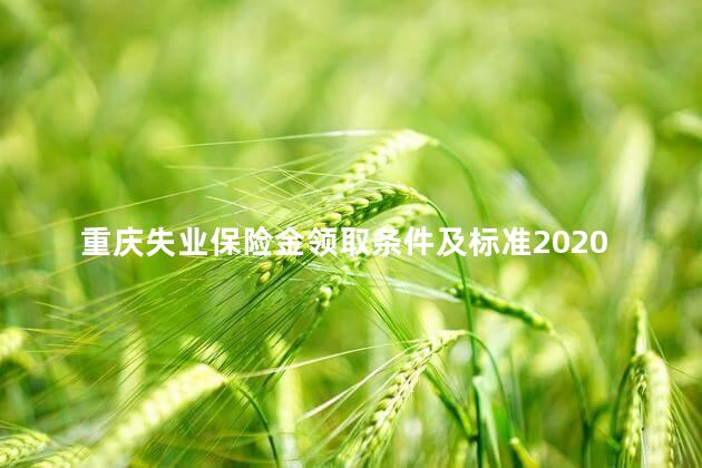 重庆失业保险金领取条件及标准2020