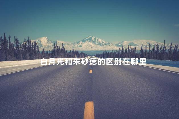 白月光和朱砂痣的区别在哪里