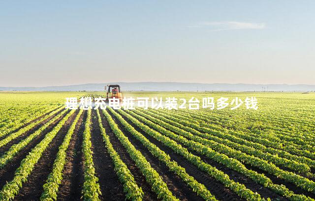 理想充电桩可以装2台吗多少钱