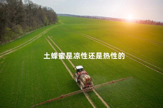 土蜂蜜是凉性还是热性的