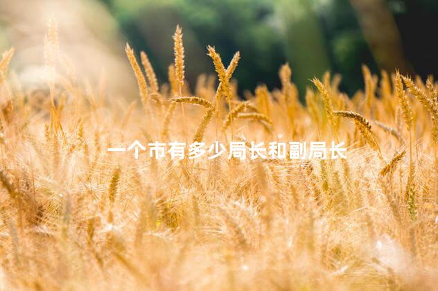 一个市有多少局长和副局长