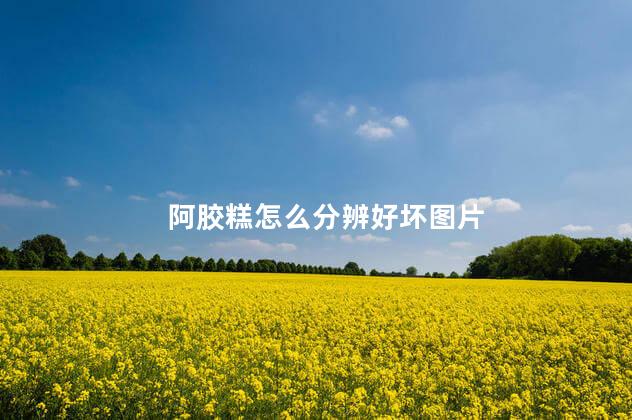 阿胶糕怎么分辨好坏图片 阿胶糕怎么分辨好坏图片