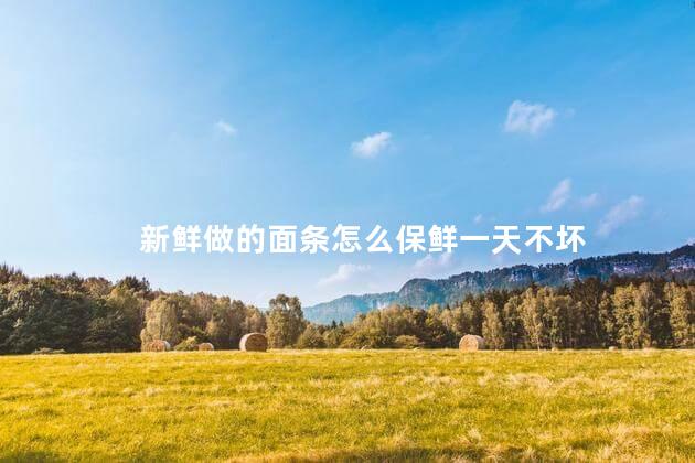 新鲜做的面条怎么保鲜一天不坏