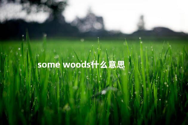 some woods什么意思 some woods什么意思