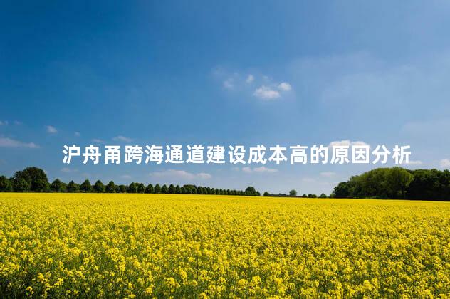 沪舟甬跨海通道建设成本高的原因分析