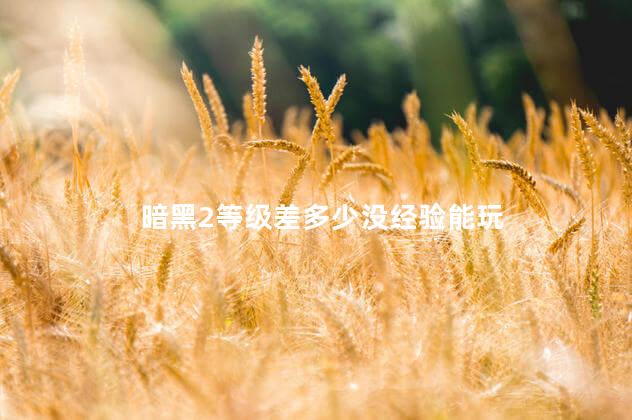 暗黑2等级差多少没经验能玩 暗黑2等级差多少没经验能玩