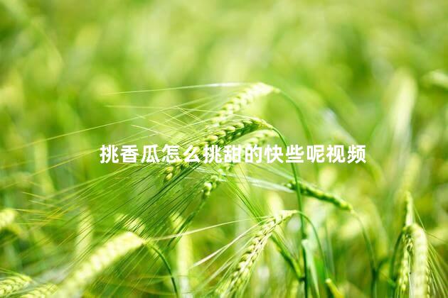 挑香瓜怎么挑甜的快些呢视频 挑香瓜怎么挑甜的快些呢视频